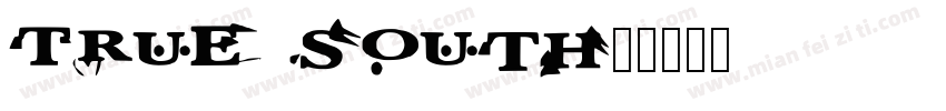 True South字体转换